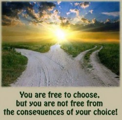 Free Will