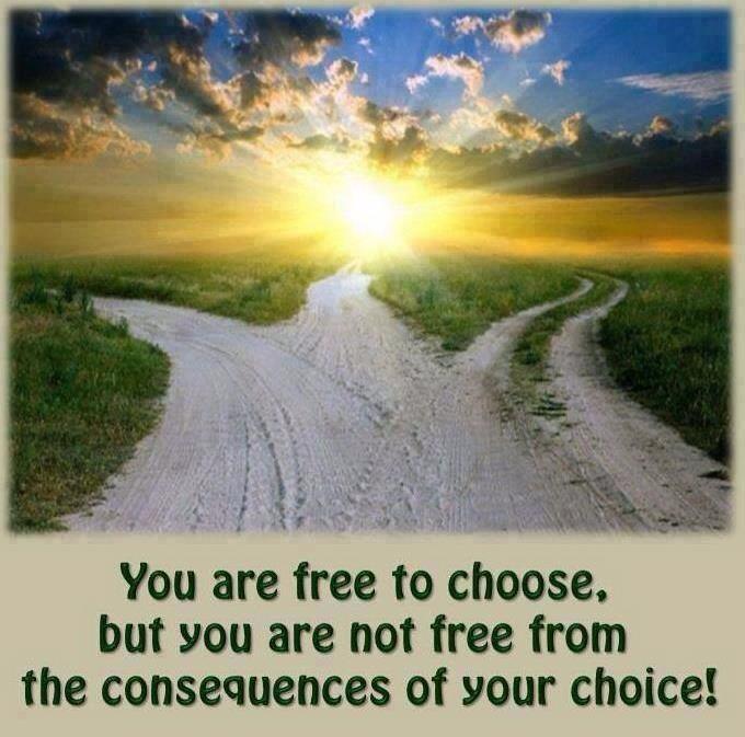 Free Will